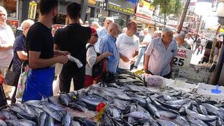 Balık etiketleri değişti! Palamut bolluğundan fiyatlar 50 liraya kadar düştü! 