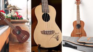 Yeni başlayan ve profesyoneller için en iyi ukulele markaları ve modelleri
