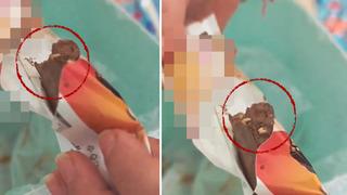 Marketten aldığı paketli dondurmanın içinden kurt çıktı! Canlı canlı içinde hareket ediyor