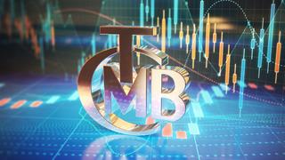 156,3 milyar dolar! Merkez Bankası'nda rekor: Rezervler tarihi zirvede
