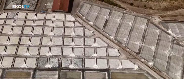 Erzincan Kemah’ta sadece yılın 3-4 ayı üretiliyor! Osmanlı döneminde başladı hala devam ediyor: Anzer balı kadar kıymetli… G1