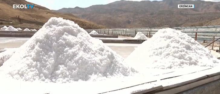Erzincan Kemah’ta sadece yılın 3-4 ayı üretiliyor! Osmanlı döneminde başladı hala devam ediyor: Anzer balı kadar kıymetli… G2
