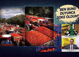 Çiftçinin sosyal medyayı sallayan '2024' isyanı! Traktörden hepsini teker teker gösterdi: "Bu yıl tarihe geçecek gibi gözüküyor"