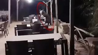 Ankara'nın göbeğinde restorana girdi