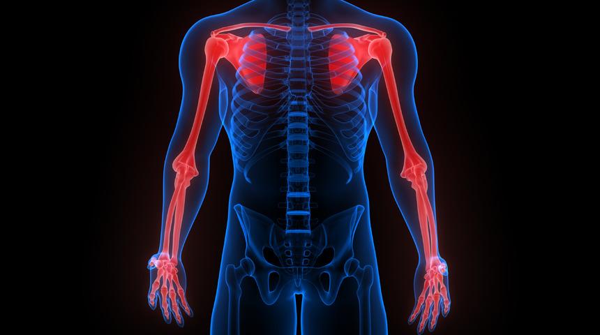 Ekstremite nedir? Alt ve üst ekstremite ne demek?