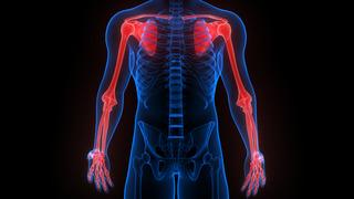 Ekstremite nedir? Alt ve üst ekstremite ne demek?