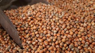 300 bin tonun üzerinde fındık! Türkiye'nin hedefi belli oldu