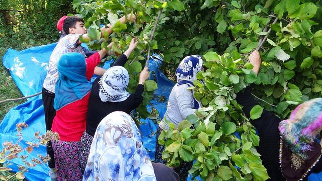 Herkes 'Burada olmaz' derken... Elde ettikleri geliri duyan inanamadı! Alay edilen girişimin sonucu 'İyi ki yapmış' dedirtti