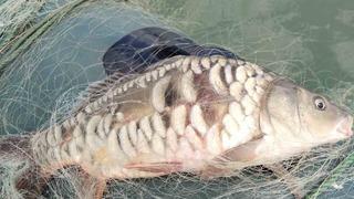 Balık avlarken fark etti... Hemen ekiplere haber verdi 5 bin metrelik! 'S' şeklinde...