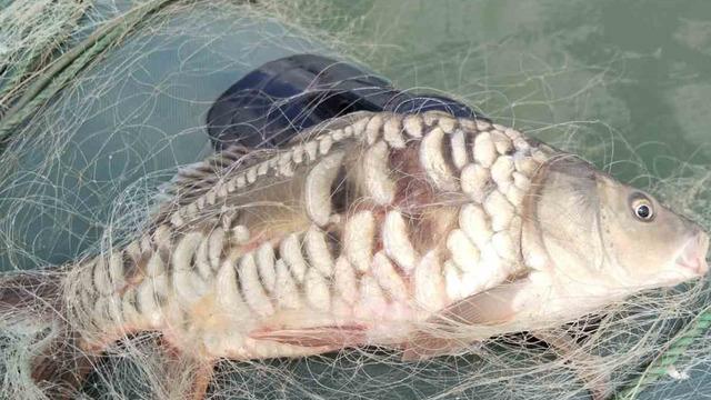 Balık avlarken fark etti... Hemen ekiplere haber verdi 5 bin metrelik! 'S' şeklinde...