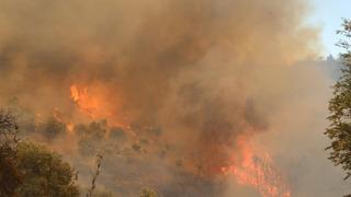 Muğla'da yangın! Ekipler seferber oldu, karayolu ulaşıma kapandı