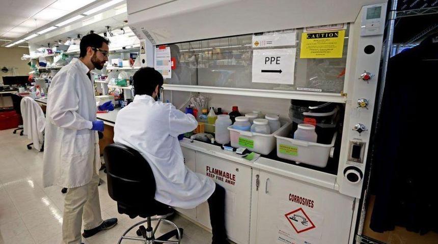 ABD'de ilk defa görüldü! Hayvanla teması olmayan bir insanda kuş gribi çıktı: Halk sağlığını nasıl etkileyecek?