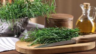 Tarhun nedir, nasıl kullanılır? Tarhunun faydaları nelerdir?