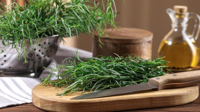 Tarhun nedir, nasıl kullanılır? Tarhunun faydaları nelerdir?