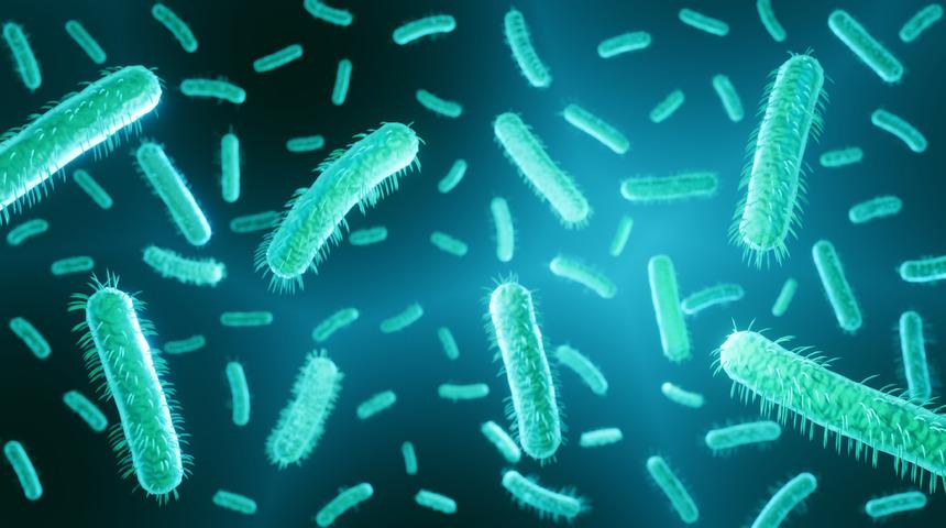 E. Coli (Escherichia coli) nedir, nasıl bulaşır? E.coli bakterisi tehlikeli midir?