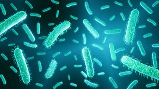 E. Coli (Escherichia coli) nedir, nasıl bulaşır? E.coli bakterisi tehlikeli midir?