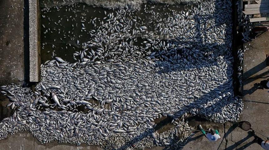 İzmir’e 1.8 milyon lira ceza! Oksijen seviyesi sıfır!