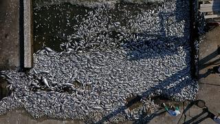 İzmir’e 1.8 milyon lira ceza! Oksijen seviyesi sıfır!