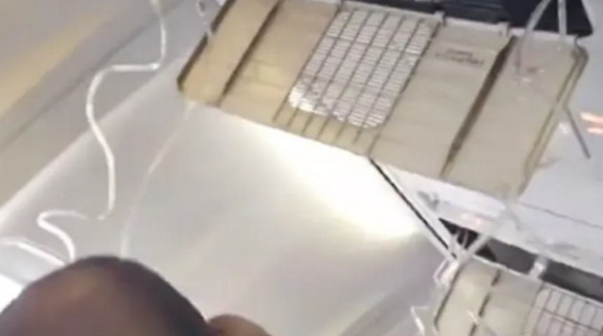 Oksijen maskeleri bir anda açıldı! Havada panik anları yaşandı... O anlar saniye saniye kamerada