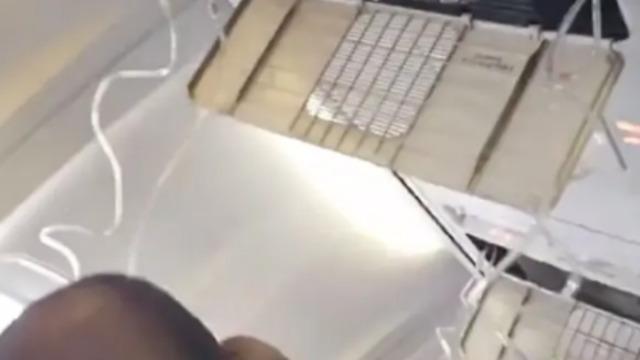 Oksijen maskeleri bir anda açıldı! Havada panik anları yaşandı... O anlar saniye saniye kamerada