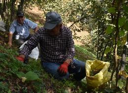 Bir gün bile çalışsa 1200 TL ödeniyor! O paraya rağmen sadece 5 kişi bulabildi