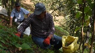 Bir gün bile çalışsa 1200 TL ödeniyor! O paraya rağmen sadece 5 kişi bulabildi
