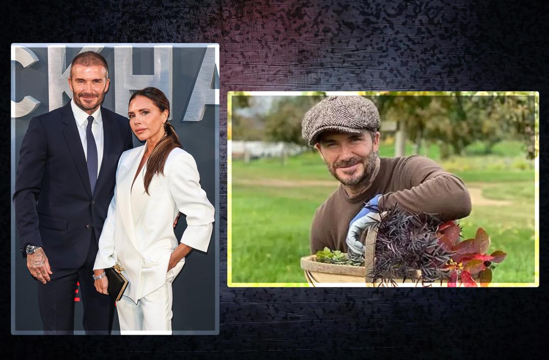 Eski futbolcu David Beckham emekliye ayrıldı! Yeni mesleğini duyanlar şaştı kaldı