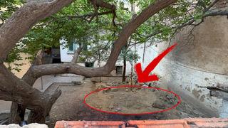 4 sapkın 4300 kilometre uzaktaki Afganistan'dan gelip Konya'daki genç kadını öldürüp evin bahçesine gömdü