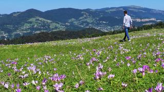 Hollanda'dan bunun için geldiler! 'Bunlar bir işaret' Görünce harekete geçiyorlar
