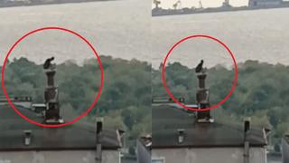 Cezaevinden firar etti, ekipleri görünce bacaya kaçtı sıkışınca yakalandı