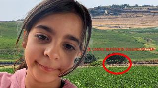 Narin Güran cinayetinde iğrenç bir ihtimal daha! Canlı yayında söyledi herkes dondu kaldı: ‘Amca ile itirafçının cinsel ilişkisi olabilir’