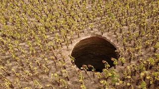 Orada ilk kez oldu! Tarlaya girip görünce korktu 'Fark etmeseydik...'