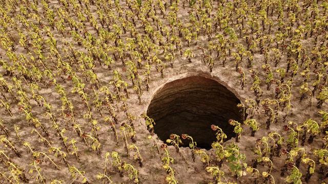 Orada ilk kez oldu! Tarlaya girip görünce korktu 'Fark etmeseydik...'