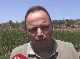 Annesinin hastalığına çare ararken tanıştı! Fotoğrafçı, o işe girdi 'Kilosu 500 TL'ye satılıyor'