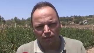 Annesinin hastalığına çare ararken tanıştı! Fotoğrafçı, o işe girdi 'Kilosu 500 TL'ye satılıyor'