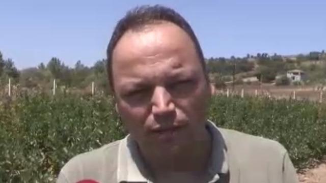 Annesinin hastalığına çare ararken tanıştı! Fotoğrafçı, o işe girdi 'Kilosu 500 TL'ye satılıyor'