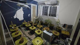 Apartmana kurdukları düzenek şoke etti