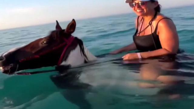 Tur şirketinden atlara çifte eziyet… Üstünde ‘insan’ denize sürdü! Turistler çok fazla ilgi gösteriyor… 