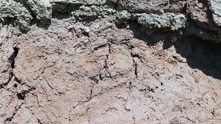 3 bin 900 yıllık olduğu düşünülen izler açığa çıktı! Bulunan İzlerin Türkiye'de o döneme ait tek olduğu vurgulandı