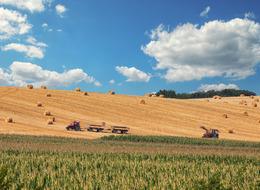 O paraları arazi sahiplerine verecek! Tarım arazileri için yeni uygulama: 2025'te hayata geçiyor