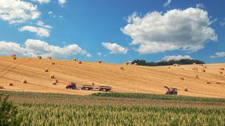 O paraları arazi sahiplerine verecek! Tarım arazileri için yeni uygulama: 2025'te hayata geçiyor