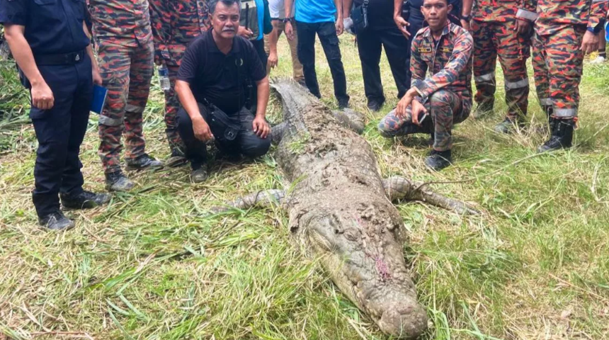 45 yaşındaki adamı canlı canlı 4 metrelik timsah yedi! Saatlerce cansız bedenini dişlerinin arasında tutup bekledi... Korku dolu anlar
