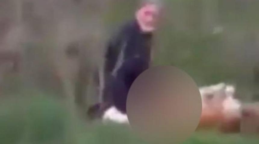 Korkunç olay: Köpeğe tecavüz ederken yakalandı!