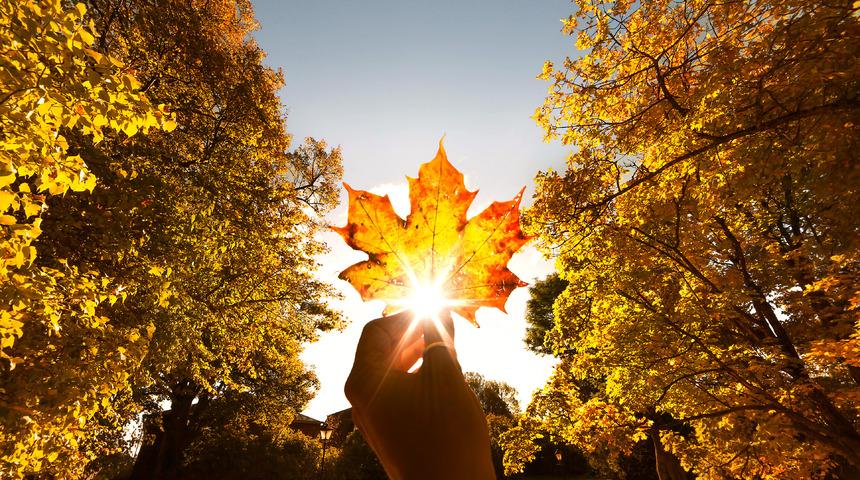 Eylül sözleri ve eylül ayı sözleri - Eylül ile ilgili en güzel, kısa, resimli ve anlamlı sözler - Hoş geldin eylül sözleri