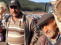 Tanesini 1300 TL'ye satıyor! Fındık değil, dalları gelir kapısı oldu 'Yenilerden yapan yok'