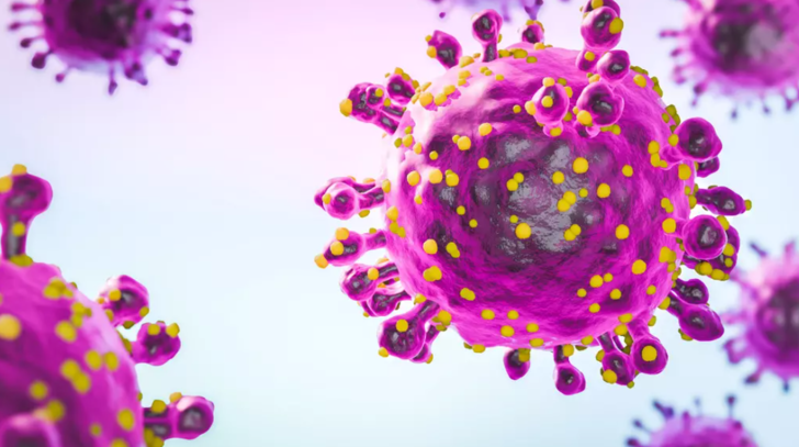 Ağustosta atağa geçti! Yeni koronavirüs varyantı XEC hızla yayılıyor: Kontrolü ele geçirdi, Avrupa'da endişe yarattı G4