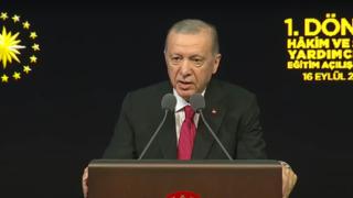 Narin cinayeti sonrası yaşanan tartışmalara Erdoğan'dan tepki: Riyakarlar! Ses çıkarmadılar