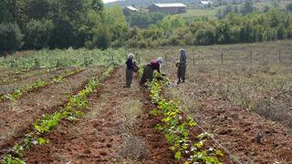 'Bu kadar kıymetli olduğunu bilmiyorduk' Deneme amaçlı yaptı! Siparişlere yetişemiyor