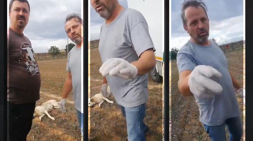 Belediye çalışanları neye uğradıklarını şaşırdı! Hem görüntüledi hem de tehdit etti: ‘MMA dövüşçüsüyüm, buraya Kore’yi yığarım’