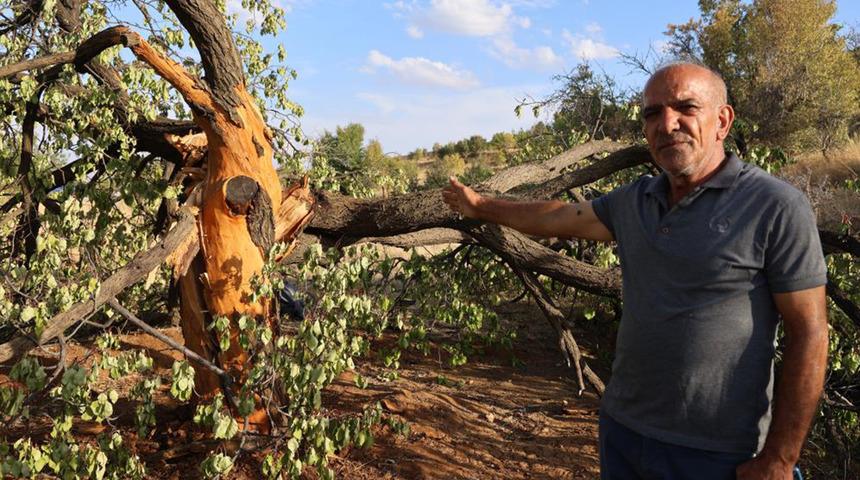 Dışarı çıkmaya korkuyorlar "Acayip, burada manyetik bir şey mi var?"